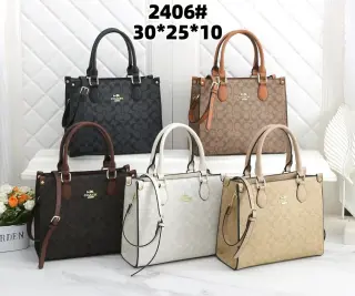 Coach Classic Signature Tote Bag