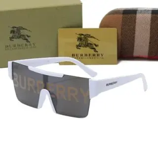 Burberry Shield Sunglasses