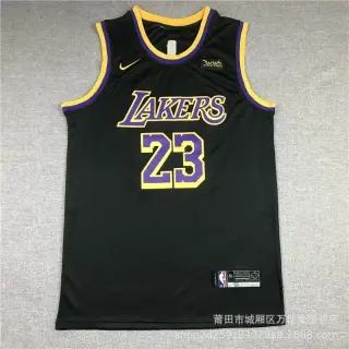Nike Los Angeles Lakers LeBron James 23 Jersey