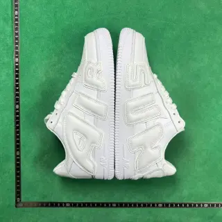CPFM Air Force 1
