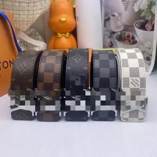 Louis Vuitton Monogram Belt