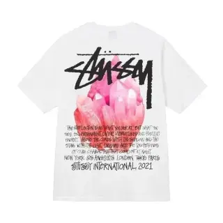 Stussy Rose Quartz Print T-Shirt