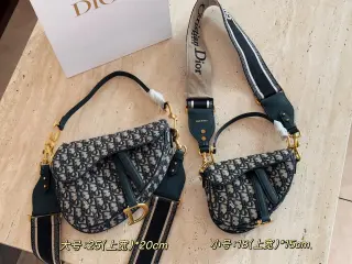 Christian Dior Handbags