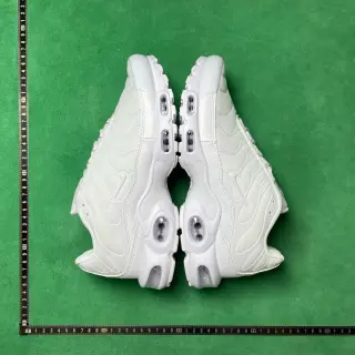 Nike Air Max Plus